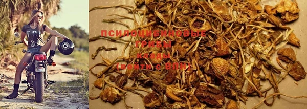 apvp Нязепетровск