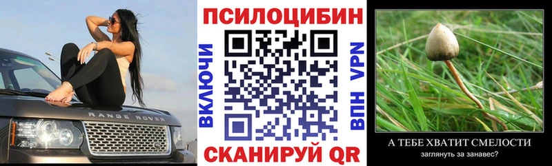 Купить  Орск  Псилоцибиновые грибы мухоморы 
